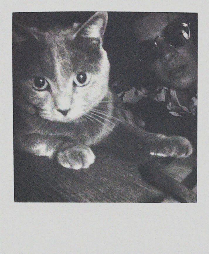 Untitled Untitled